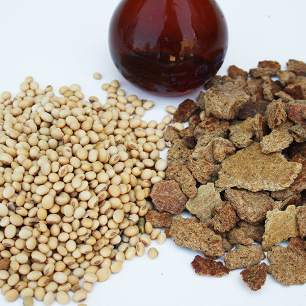 Soybean Oil Cake Savi Italo Srl