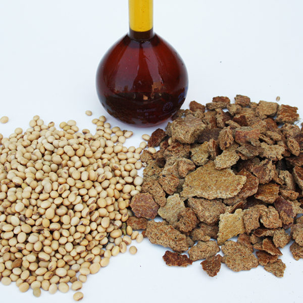 Soybean Oil Cake Savi Italo Srl